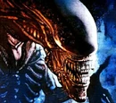 Xenomorphs