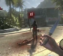 Logan's throwing knives