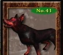 Mad Wild Dog