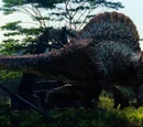 Spinosaurus
