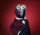Gonzo