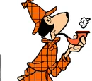 The Sleuth