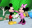 A Surprise for Minnie