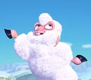 Sheep