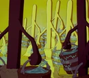 Magic Brooms