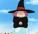 Fortuneteller Baba