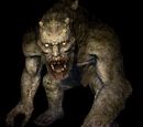 Elder Ogre