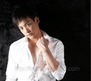 Sukrit Wisedkaew (Bie "The Star")