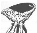 Basidirond