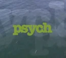 Psych: Let's Get Hairy