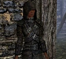 Guild Master's Armor Set