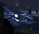 Arvak's Skull