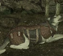 Bran