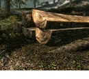 Sawn Log