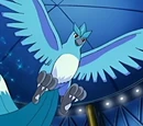 Articuno de Sabino