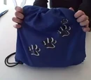The Bag