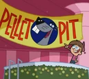 Timmy Turner/Images/Birthday Wish!