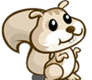 White Squirrel