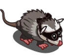 Bandit Opossum