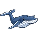 Blue Whale