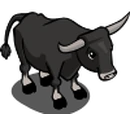 Black Ox