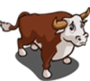 Bull