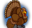 Baby Turkey