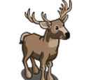 White-tailed Buck