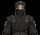 Iga Garb +2 Set