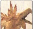 Lv.99 Red Chocobo