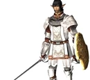 Paladin (Job)