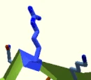 Amino Acids