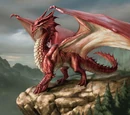 Red dragon