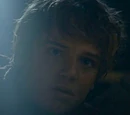 Martyn Lannister