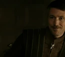 Master of Coin