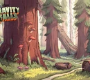 Gravity Falls forest