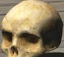 Skull/Halo 3