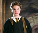 Cedric Diggory