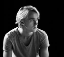 Tom Felton