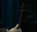 Quirinus Quirrell's wand