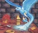 Avifors Spell