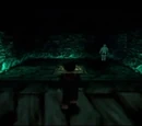 Dark Hall