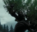 Hogwarts Whomping Willow