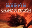 Camino de Dragón