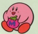 Maxim Tomato