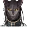 Torgal
