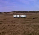 Episode 804: Dark Sage