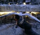 Frozen wheel/Theories