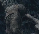 Mountain-trolls