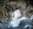 War of Wrath